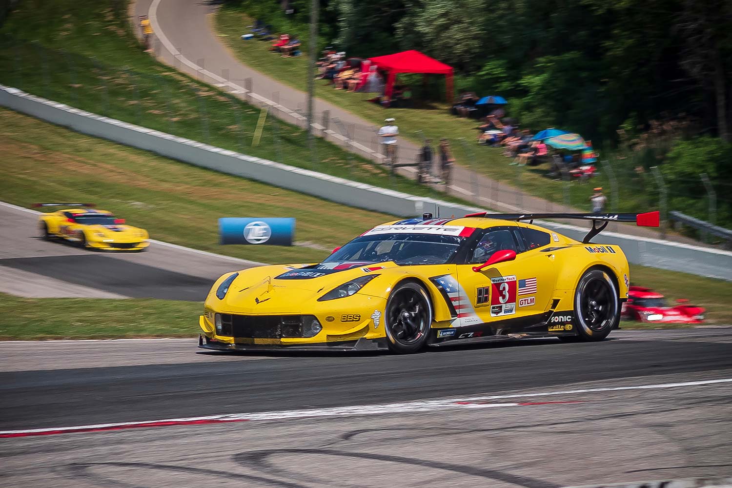 homegardeningplants.com