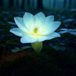 Flower That Grows in the Dark