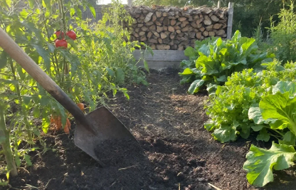 organic compost for vegetable garden