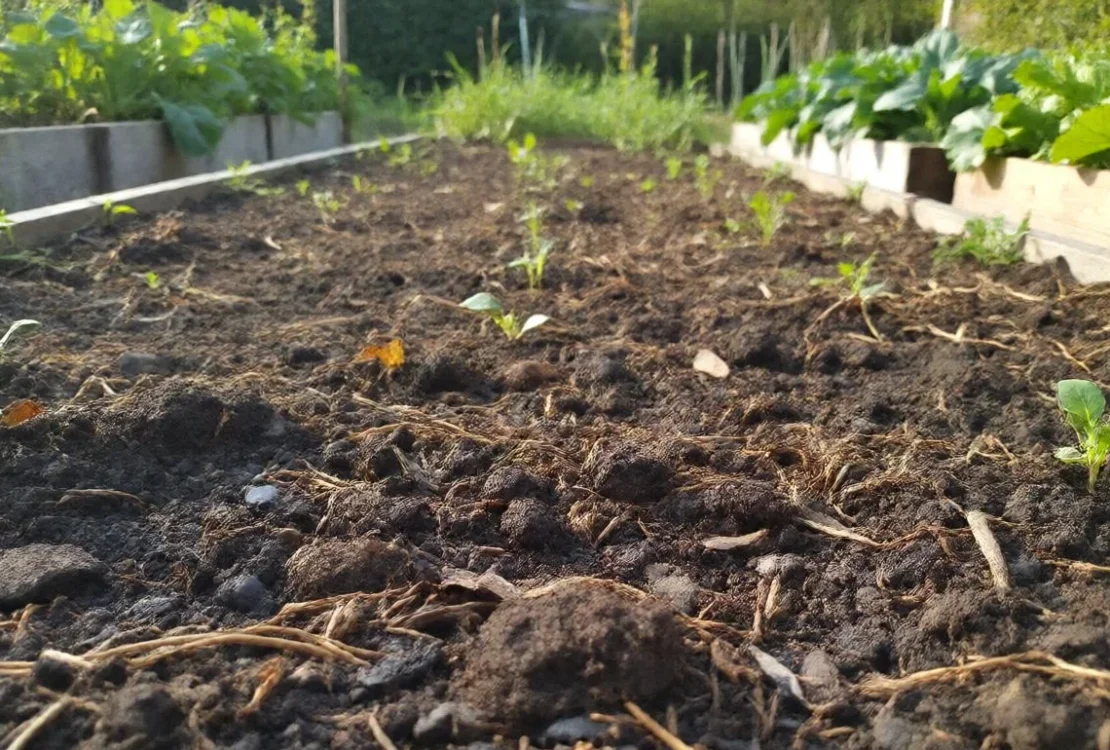 what is organic soil